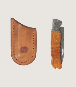 Falcon Folding Knife With Lock Back