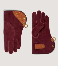 Ostrich Falconry Gloves