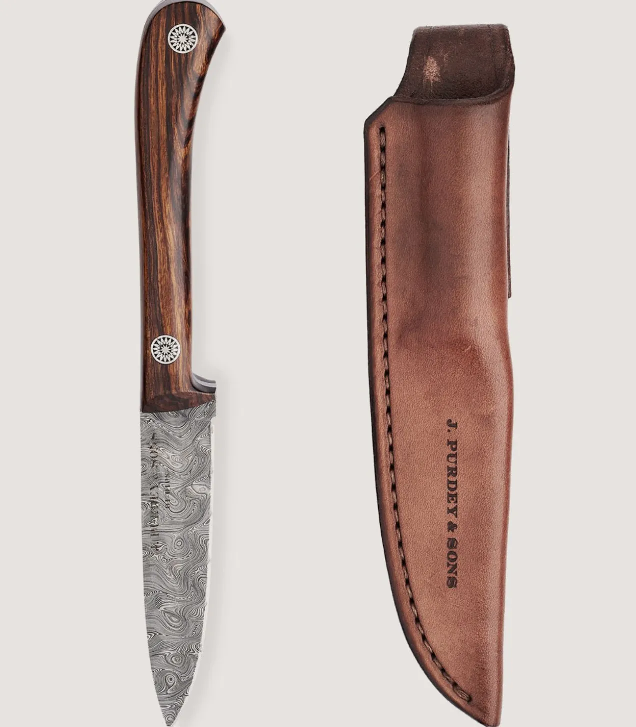The Damascus Muntjac In Desert Ironwood