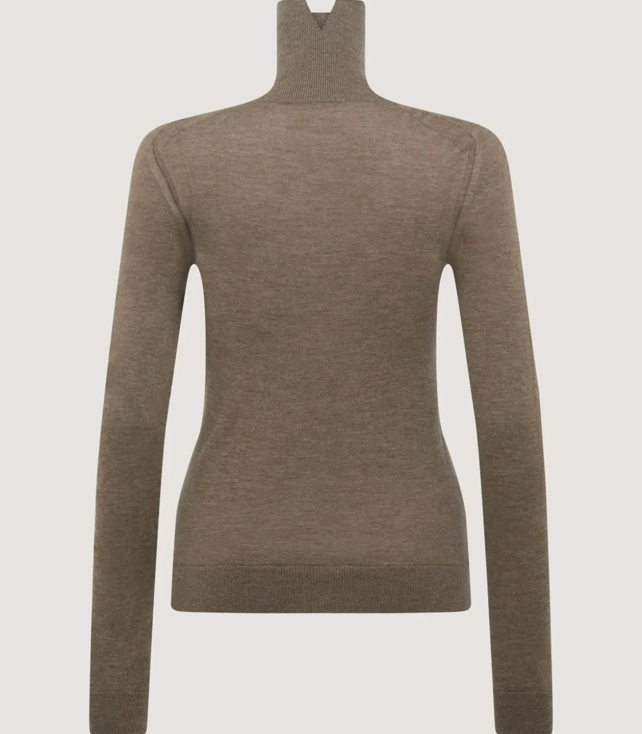 Women'S Extra Fine Worsted Cashmere Turtleneck